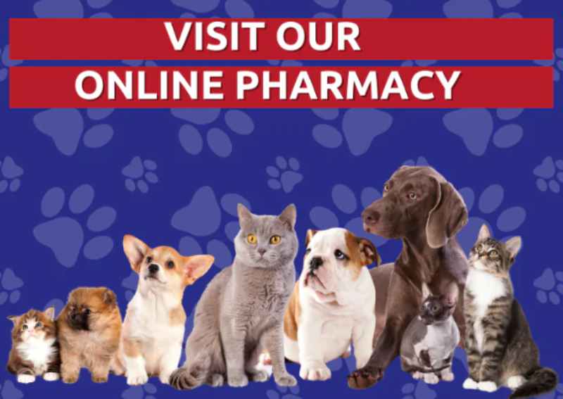 Carousel Slide 1: Visit our convenient online pharmacy