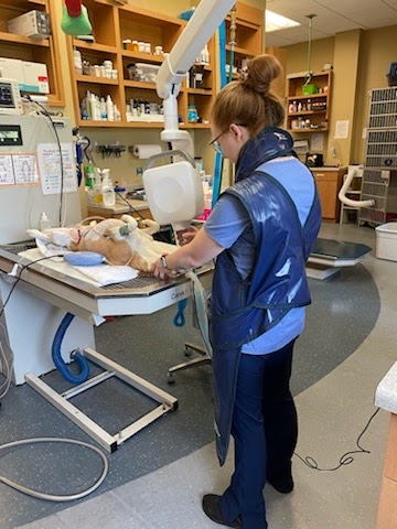 Education and training programs